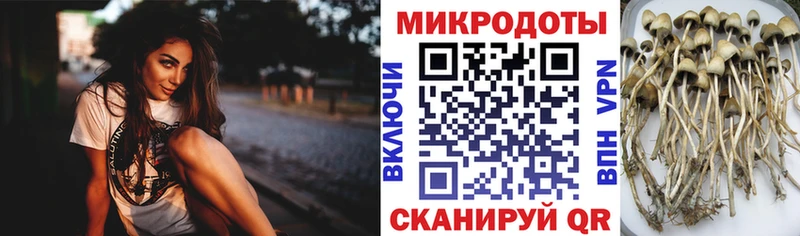 маркетплейс телеграм  Добрянка  Псилоцибиновые грибы Psilocybine cubensis  кракен ССЫЛКА 